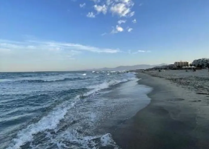 Appartement Studio, Maison, Rez De Chaussee, *